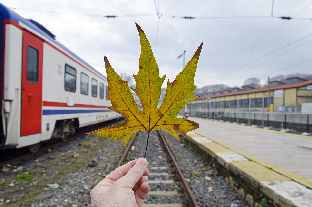 广东华为人才招聘信息，引领科技潮流，汇聚行业精英